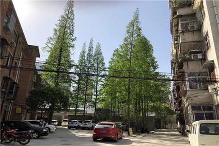 城东星合御园2室2厅1卫83m2简单装修